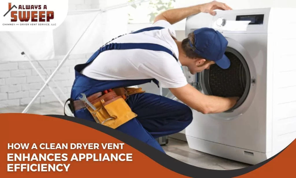 A professional service technician in blue overalls inspecting the interior drum of a front-loading washing machine or clothes dryer to improve appliance energy efficiency in Denver, CO.