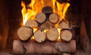 Wood Burning vs Gas Heating in Gainesville FL: Cost & Safety 1 unnamed 26