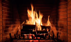 Wood Burning vs Gas Heating in Gainesville FL: Cost & Safety 2 unnamed 27