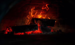 Wood Burning vs Gas Heating in Gainesville FL: Cost & Safety 3 unnamed 28