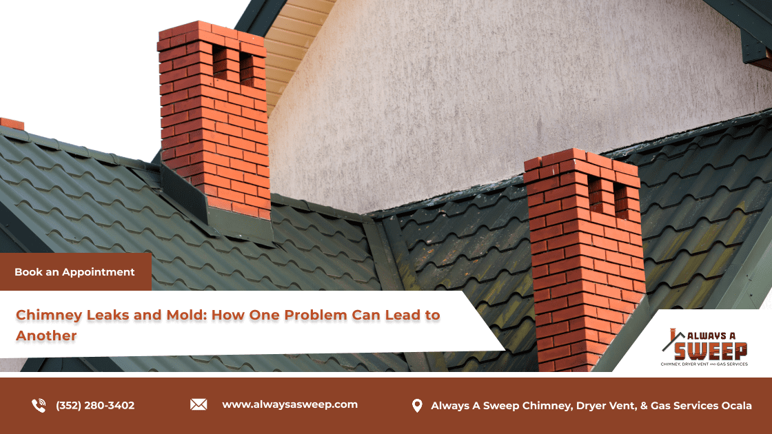 Why Your Chimney Is Leaking after a storm.