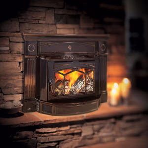 wood stove insert