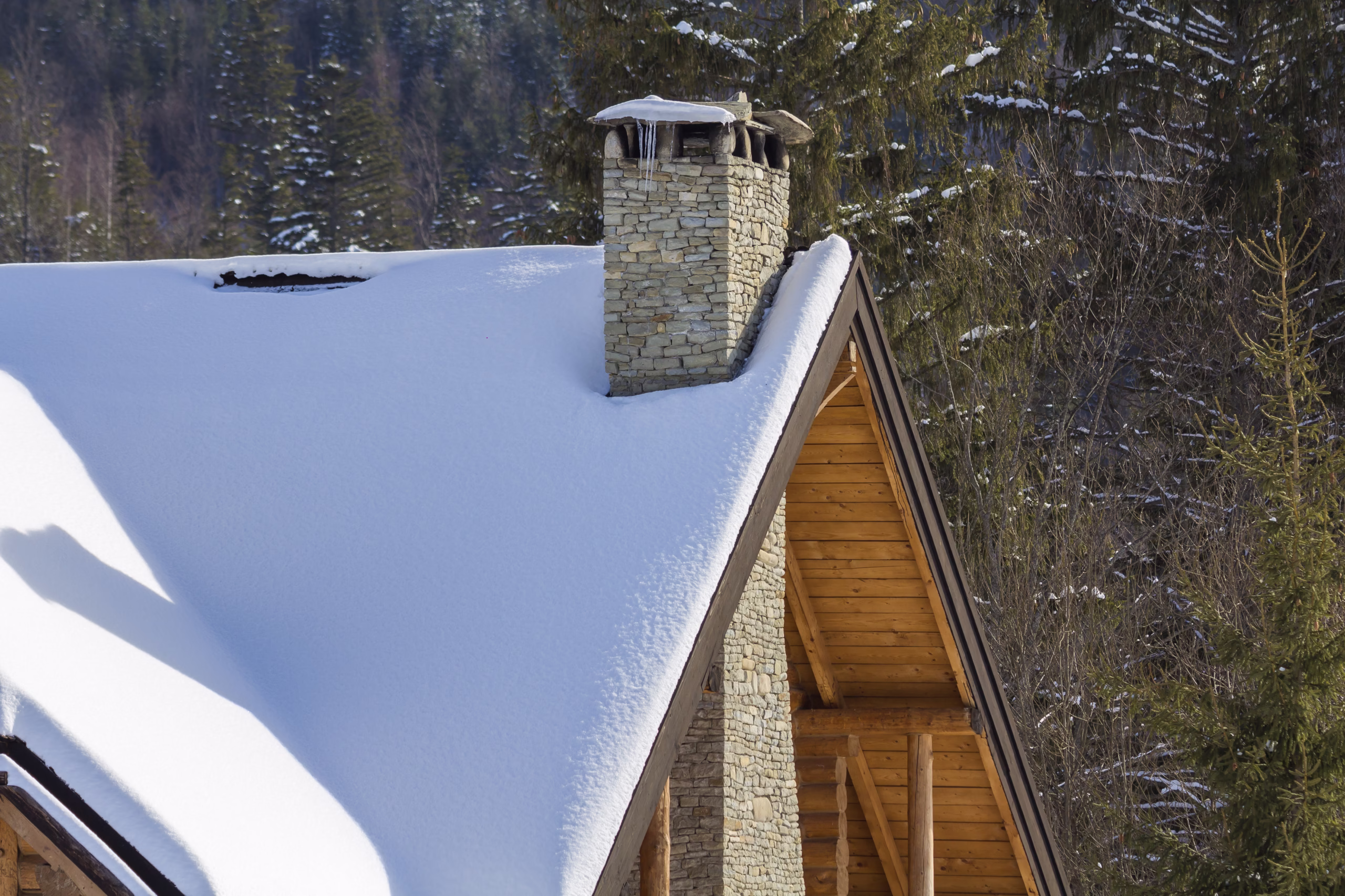 Top of wooden ecological traditional cottage of lumber materials with steep roof, high stone chimney covered with snow on tall spruce tree forest background on bright sunny winter day.
