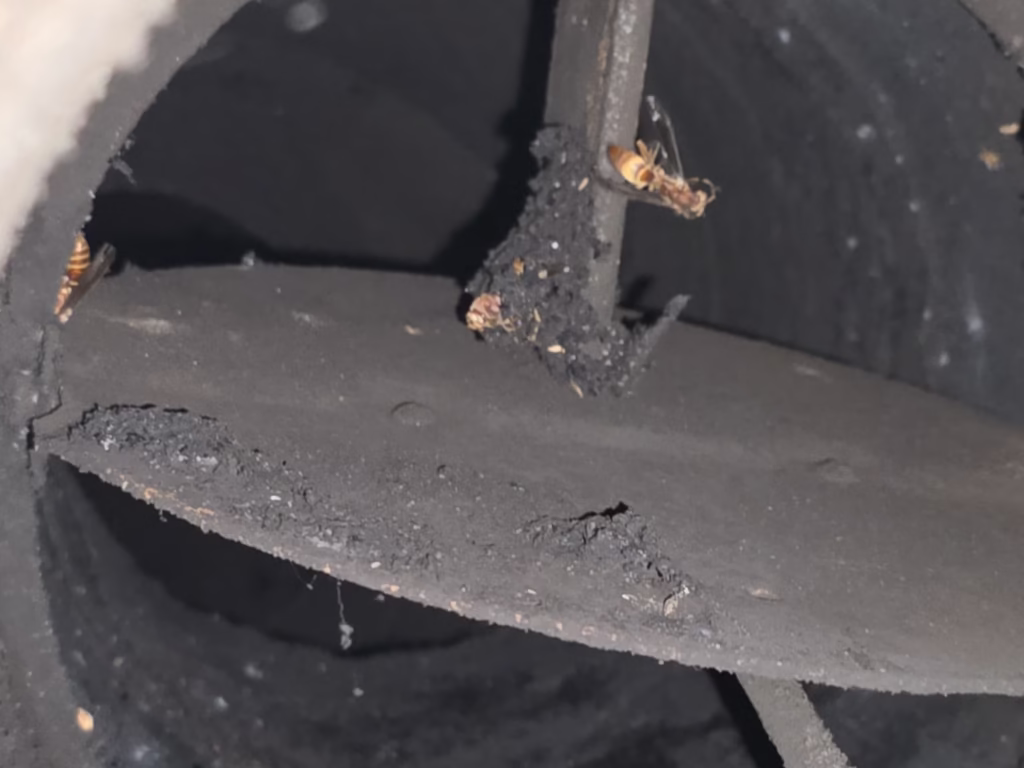 vent dust