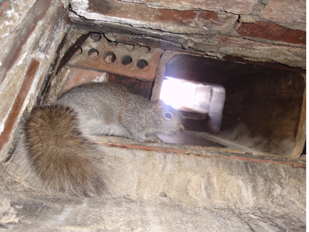 vent hole
